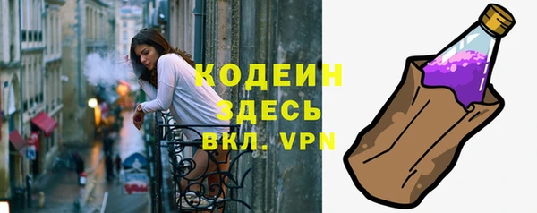 мет Бородино