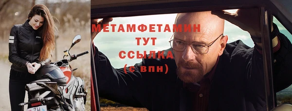 прущие грибы Новозыбков