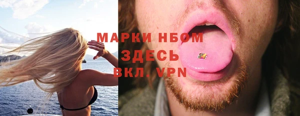 прущие грибы Новозыбков