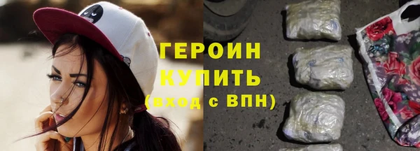 прущие грибы Новозыбков