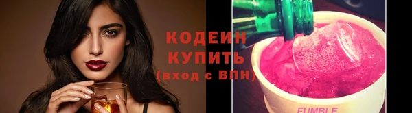 прущие грибы Новозыбков