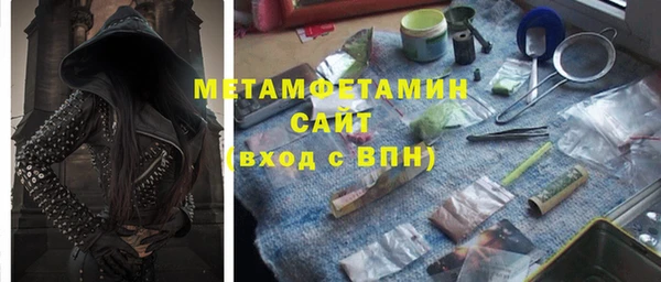 прущие грибы Новозыбков