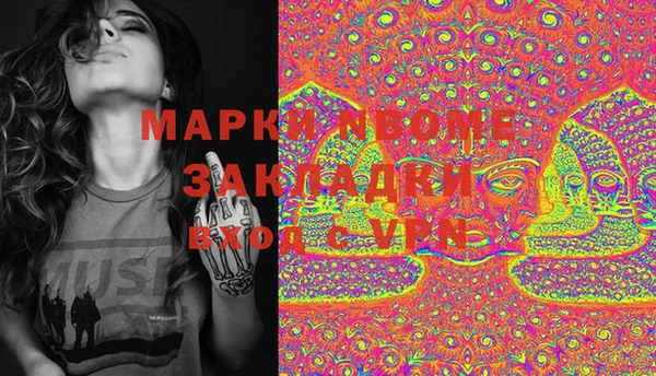 прущие грибы Новозыбков