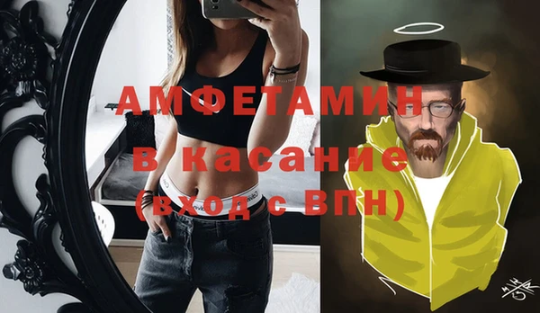 прущие грибы Новозыбков