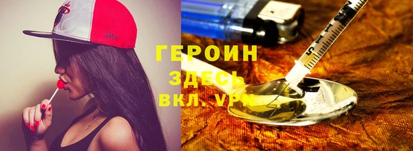 прущие грибы Новозыбков