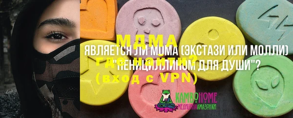 прущие грибы Новозыбков