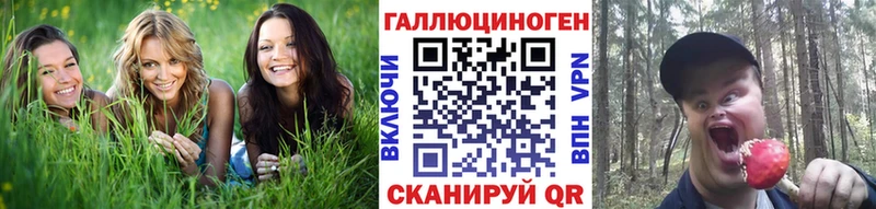 Галлюциногенные грибы Psilocybe  Старая Купавна 