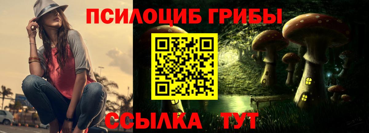 Галлюциногенные грибы Psilocybine cubensis  Вход с VPN  Галлюциногенные грибы ЛСД  Старая Купавна 